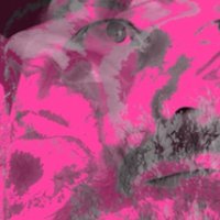 Cyber Erotic Love Child (@celcism) 's Twitter Profile