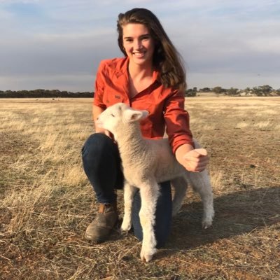 BboltRockalong's profile picture. Rockalong Poll Dorset Stud•mixed sheep and cropping farm•Livestock Research Scientist at DPIRD, Katanning.