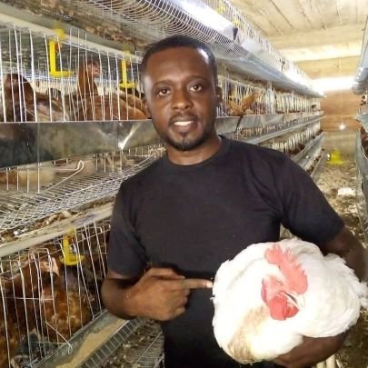 FOR YOUR FRESH EGGS FOR BREAKFAST AND FORSALE ...FOR YOUR LIFE CHICKEN FOR SOUP AND FOR SALE COME TO KOONIMOS FARM CONTACT US ON 0200594644/0209925697