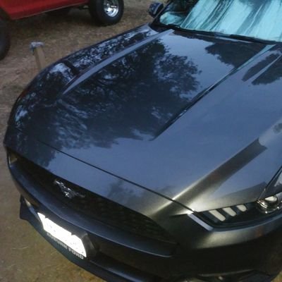 Mlffishing1's profile picture. 