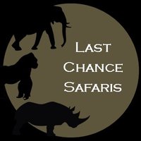 Last Chance Safaris(@lastchancesaf) 's Twitter Profile Photo