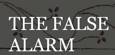 TheFalseAlarm's profile picture. Writing// Poetry// Curiosities//