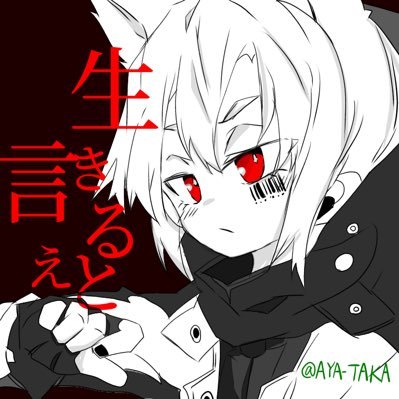 あやたかさんのプロフィール画像