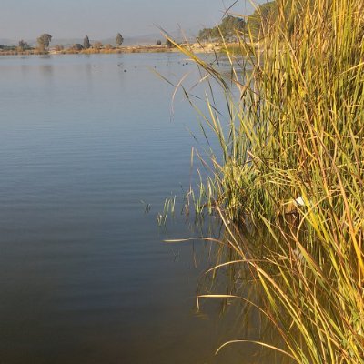 znJSU6t4MerYVcd's profile picture. 