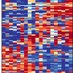 Duncan Sproul (@sproul_lab) Twitter profile photo Duncan Sproul (@sproul_lab) Twitter profile photo