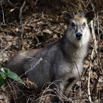 DKpJ7C5MjQBqpiR's profile picture. 拙者帰るわ