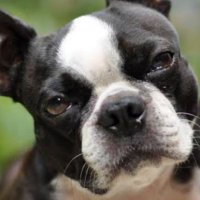 ヒロ3591163 (@np3uoqcn3o6eocv) 's Twitter Profile