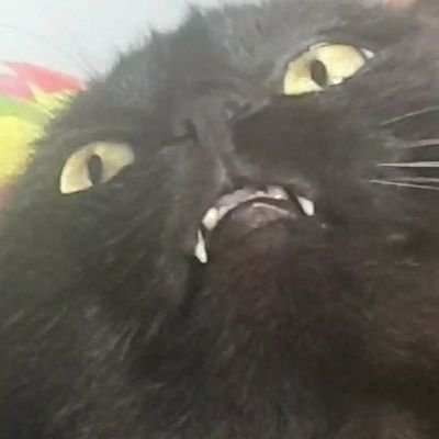 Spock90000's profile picture. 