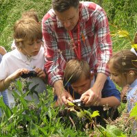 iain green (@naturebygreen) 's Twitter Profile