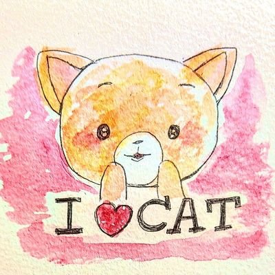 のりねこさんのプロフィール画像