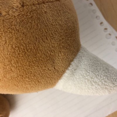 Sei_pupupu's profile picture. 目が覚めたらキラキラ美少女(17)