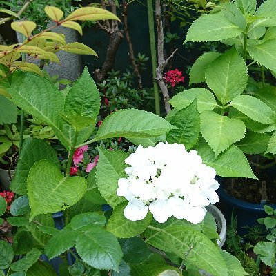 nanakan95884906's profile picture. 