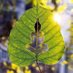 ecotank industries (@ecotankind) Twitter profile photo ecotank industries (@ecotankind) Twitter profile photo