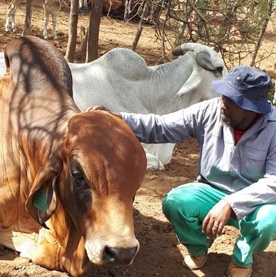 Kgosi_Thebe's profile picture. Nature is my favourite destination.