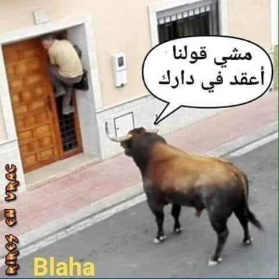 @abbesmescomgmi1