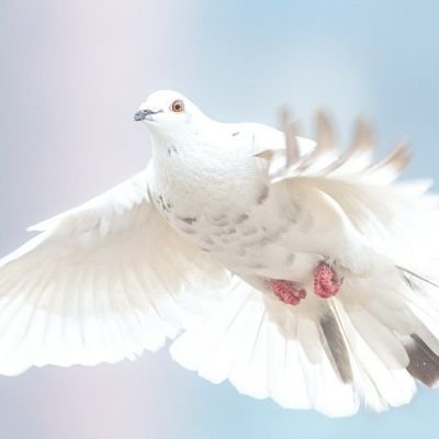 전서구さんのプロフィール画像