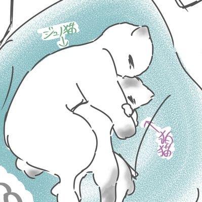 海空さんのプロフィール画像