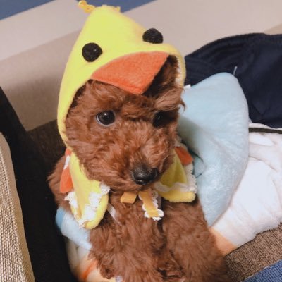 Ey8o549vPhrMCx1's profile picture. 堀病院