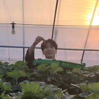 _Cxndixce (@cxndixce) 's Twitter Profile