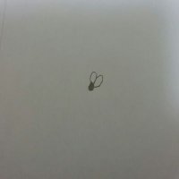 ダソむし (@ds6414) 's Twitter Profile