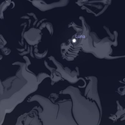 starshiips42's profile picture. 