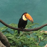 Thoughts & Prayers 😷💙🌺🇹🇹🇺🇸 (@dianne50689540) 's Twitter Profile Photo Thoughts & Prayers 😷💙🌺🇹🇹🇺🇸 (@dianne50689540) 's Twitter Profile Photo
