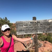 Wandering with a Dromomaniac (@nikkilee717) 's Twitter Profile