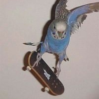 V Y K T O R⚓ (@ovyktor_) 's Twitter Profile