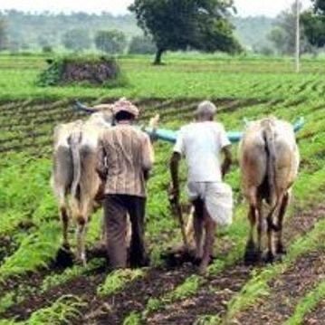 Kisan_Karnataka's profile picture. This is the Official Account of Karnataka Kisan Congress 
@INCIndia