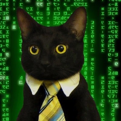 joelifer's profile picture. Disney fanatic, sports genius, wrestling historian and fungi. Here's lookin' at you internet.