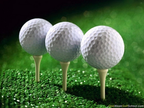 Golf_dailytips's profile picture. give you daily golf tips
