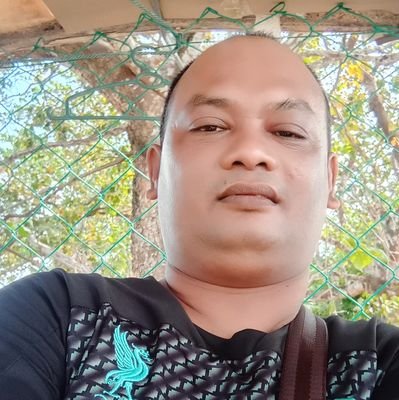 BFinggo's profile picture. Finggo HTA team