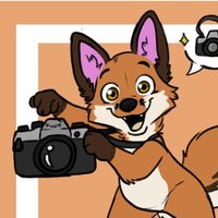 photo fox 📷 🦊 (@photofoxo) 's Twitter Profile Photo photo fox 📷 🦊 (@photofoxo) 's Twitter Profile Photo