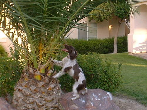 Teacher, principal, traveler, dog-person, interested in learning
