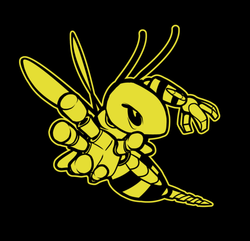 FRC836's profile picture. FIRST Robotics Competition - Team 836 - The RoboBees