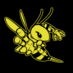 The RoboBees (@frc836) Twitter profile photo The RoboBees (@frc836) Twitter profile photo