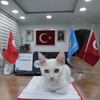DAMAT (@damat_by) Twitter profile photo