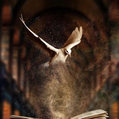 ZafarNaveed13's profile picture. voice