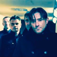 V TRANSMISSION(@VTransmissionuk) 's Twitter Profile Photo