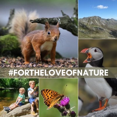 #ForTheLoveOfNature campaign to save vital NTS ranger jobs & protect Scotland's nature. 75% of countryside jobs at risk. Petition: https://t.co/sUhGkaMKnT
