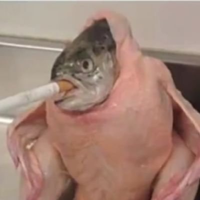 MemeKingSuprem3's profile picture. Funniest fella in a 2 meter radius of myself