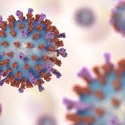 Barcelona Clinic Viral Hepatitis Group (@bcvirhep) 's Twitter Profile