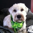 Janice Woolley - @jdubbs714 - Twitter