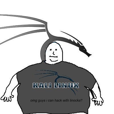 I use Kali Linux.
discord: btw i use kali linux#0486