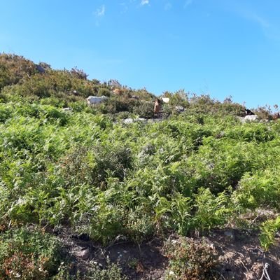 NadiaKADA's profile picture. 