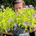 Plantlover Peter (@plantipppeter) Twitter profile photo Plantlover Peter (@plantipppeter) Twitter profile photo