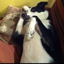 Clair Jackson - @clairjackson1 - Twitter