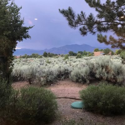 GuitarzCr's profile picture. 