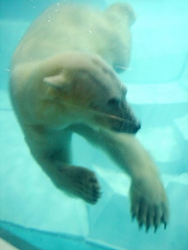 satsuki_27's profile picture. 無職透明