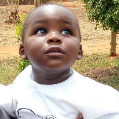 btcollins21's profile picture. JESUS IS LORD
Follow these accounts for quick follow back